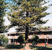 Eastern Beach Holiday Units - Nambucca Heads Accommodation