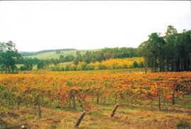 Beelerup WA Nambucca Heads Accommodation