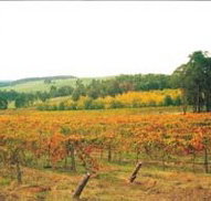 Byramgou Park - Nambucca Heads Accommodation