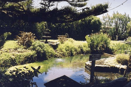 Bayside Gardens - Nambucca Heads Accommodation