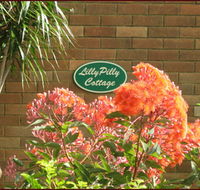 Lillypilly - Nambucca Heads Accommodation