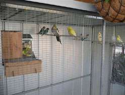 Yarragon Motel - Nambucca Heads Accommodation 1