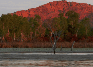 Lakeview Apartments Kununurra - Nambucca Heads Accommodation 4