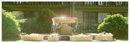 Best Western Tall Trees Motel - Nambucca Heads Accommodation 2