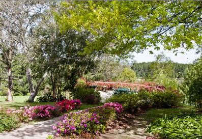 Bilpin Resort - Nambucca Heads Accommodation 2