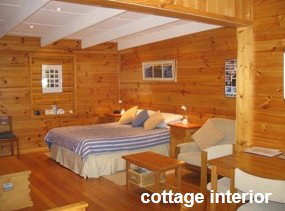 Anglesea Rivergums - Nambucca Heads Accommodation 0
