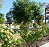 Narrogin Motel - Nambucca Heads Accommodation