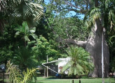 Kimberleyland Holiday Park - Nambucca Heads Accommodation 5