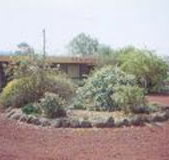 Beaufort Motel - Nambucca Heads Accommodation