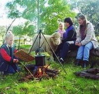 Sleepy Hollow Farm Cottage - Nambucca Heads Accommodation