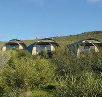 Saunders Gorge Sanctuary - Lodges - Nambucca Heads Accommodation
