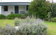 Ruby's Robe Cottage - thumb 5