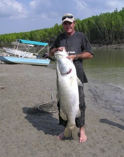 Dundee Downs Bush Resort - Nambucca Heads Accommodation 0
