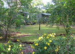 Dundee Downs Bush Resort - Nambucca Heads Accommodation 4