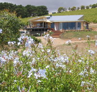 The Blue Grape Vineyard Accommodation - Nambucca Heads Accommodation