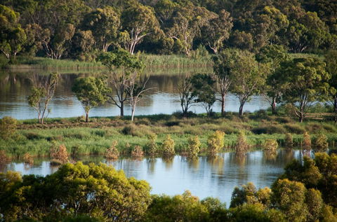 Riverview Rise Retreats - Nambucca Heads Accommodation 4