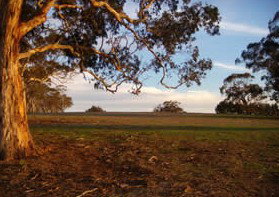 Mirrabooka Bed And Breakfast - Nambucca Heads Accommodation 1