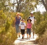 Long Island Caravan Park Cabins - Nambucca Heads Accommodation