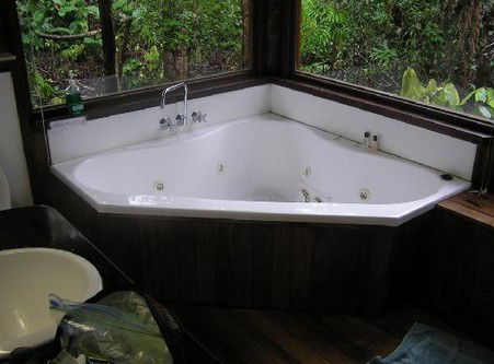 The Canopy Rainforest Tree Houses And Wildlife Sanctuary - Nambucca Heads Accommodation 0