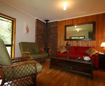 The Canopy Rainforest Tree Houses And Wildlife Sanctuary - Nambucca Heads Accommodation 1