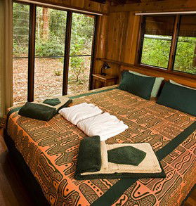 The Canopy Rainforest Tree Houses And Wildlife Sanctuary - Nambucca Heads Accommodation 2