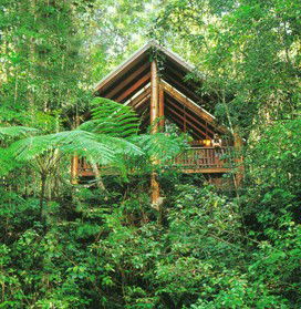 The Canopy Rainforest Tree Houses And Wildlife Sanctuary - Nambucca Heads Accommodation 5
