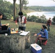 Fortescue Bay Camping Ground - Nambucca Heads Accommodation