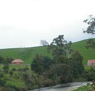 Tin Dragon Trail Cottages - Nambucca Heads Accommodation