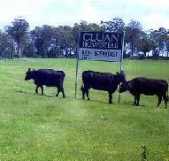 Cluan Homestead - The Managers Residence - Nambucca Heads Accommodation