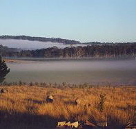 Fonthill - Nambucca Heads Accommodation