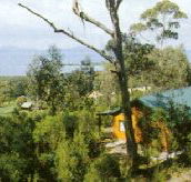 Partridge Farm - Nambucca Heads Accommodation