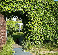 Kirra Guest House - Nambucca Heads Accommodation