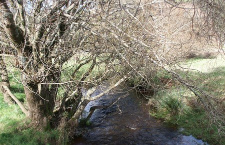 Penguin Valley Farm - Nambucca Heads Accommodation 1