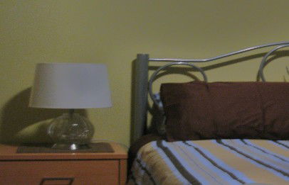 Fern Gully Hideaway - Nambucca Heads Accommodation 5