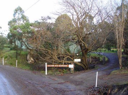 Eaglehawk Neck Backpackers - Nambucca Heads Accommodation 1