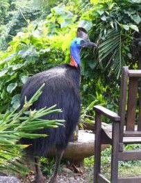 Sanctuary Retreat - Nambucca Heads Accommodation 2