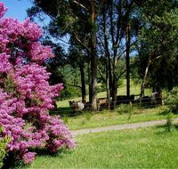 Figlea Cottages - Nambucca Heads Accommodation