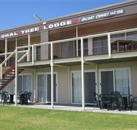 Coral Tree Lodge Tourist Park - Nambucca Heads Accommodation