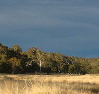 Namadgi National Park - Nambucca Heads Accommodation