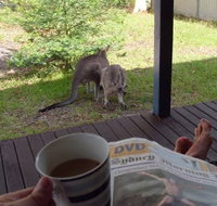 Bush and Bay Cottage - Nambucca Heads Accommodation