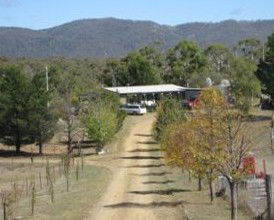 Snowy Vineyard Cottage - Nambucca Heads Accommodation 2