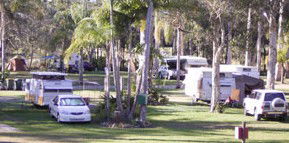 Brigadoon Holiday Park - Nambucca Heads Accommodation 2