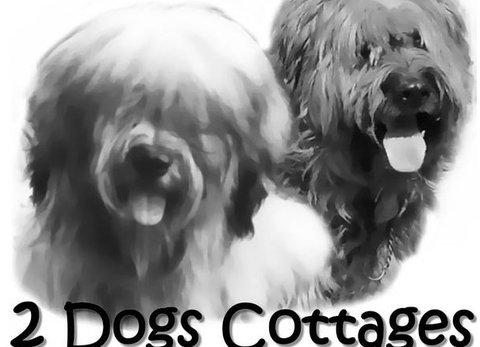 2 Dogs Cottages - Nambucca Heads Accommodation 0