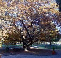 Hillview Oak Bed and Breakfast