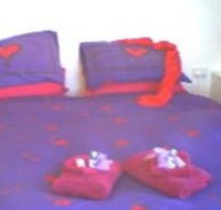 Aloomba Lavender - Accommodation - Nambucca Heads Accommodation