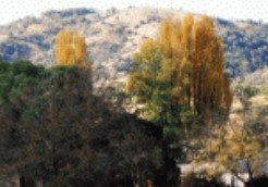 Nundle NSW Nambucca Heads Accommodation