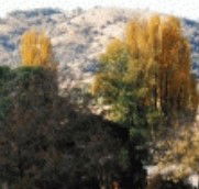 Birches Bed and Breakfast at Nundle