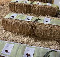 Bathurst Goldfields Accommodation - Nambucca Heads Accommodation