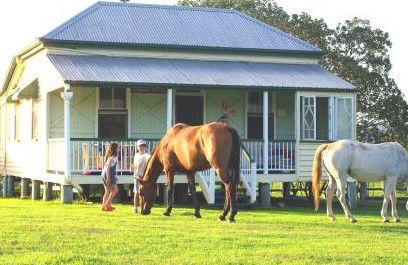 Cedar Glen Farmstay - Nambucca Heads Accommodation 5
