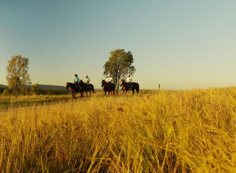 Spicers Hidden Vale - Nambucca Heads Accommodation 1